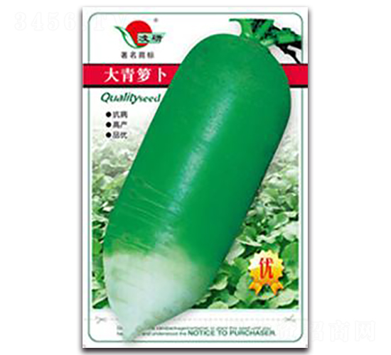 �����}��-�}���N��-�ʴ��r�I