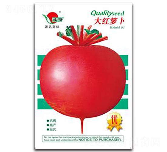 ��t�}��-�}���N��-�ʴ��r(n��ng)�I(y��)