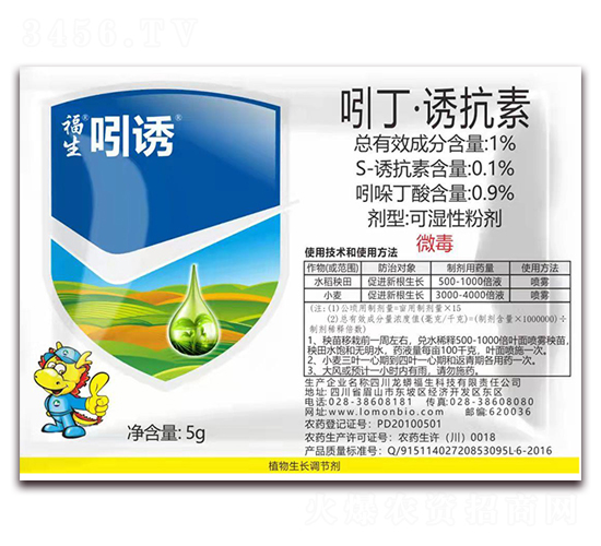 �Ŷ����T����-�������T-��������