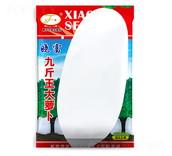 �Ž������}��-�}���N��-�Ը��N��