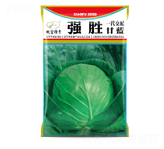 ���ٸ��{-���{�N��-�Ը��N��