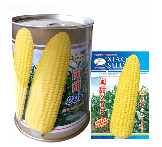 �}��208-���׷N��-�Ը��N��