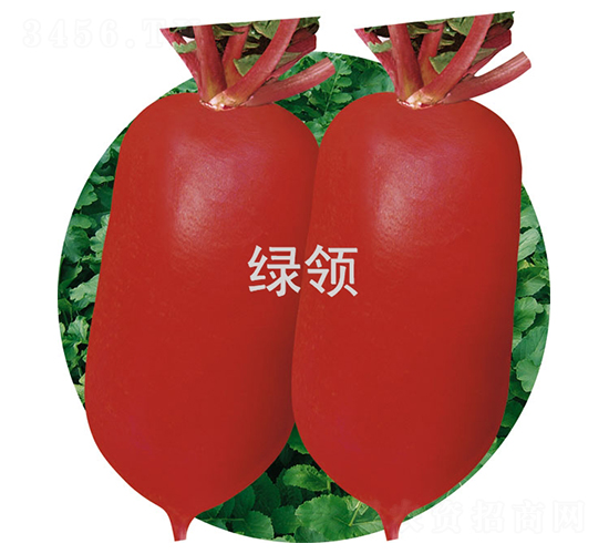 �ļt2̖-�}���N��-�G�I�N�I