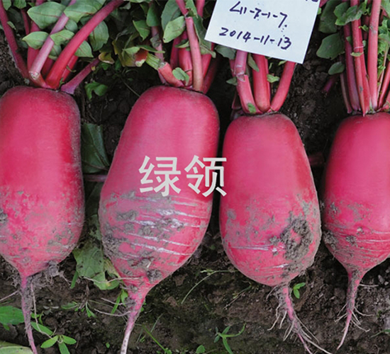 ��t-�}���N��-�G�I�N�I