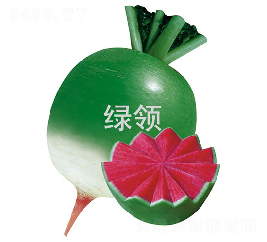 �G�I�M�üt-�}���N��-�G�I�N�I