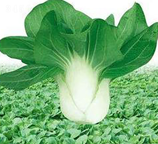 ���L��-���˷N��-�����Z