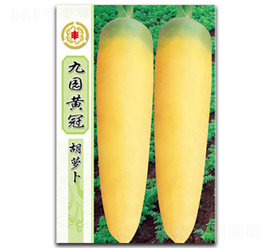 九園黃冠胡蘿卜-胡蘿卜種子-三主糧