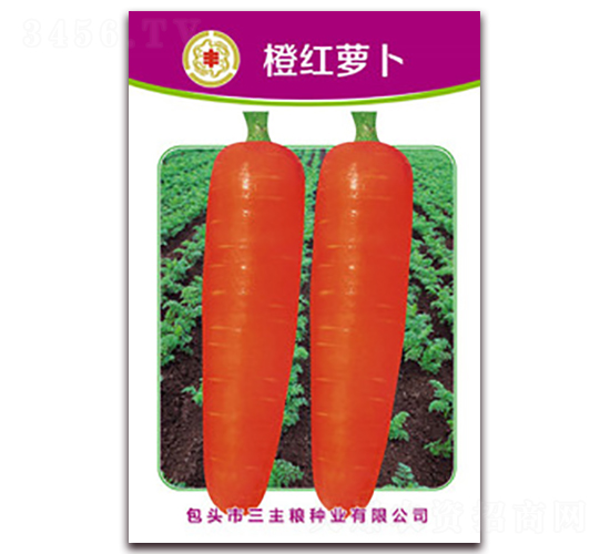 �ȼt�}��-�}���N��-�����Z