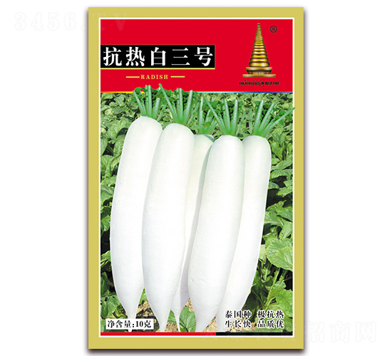 �������̖-�}���N��-�н��r�I