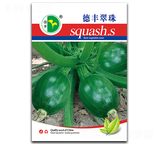 德豐翠珠-西葫蘆種子-德豐種業