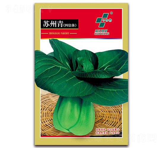 蘇州青（四倍體）-青菜種子-中江農(nóng)業(yè)