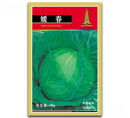 媛春甘藍-甘藍種子-中江農業