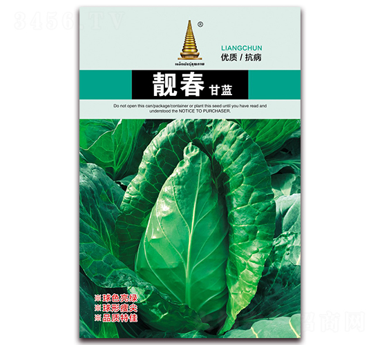 靚春甘藍-甘藍種子-中江農業