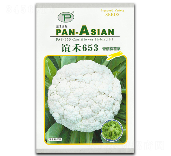 誼禾653-松花菜種子-誼禾