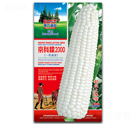 ����Ŵ2000-Ŵ���׷N��-�����_(d��)