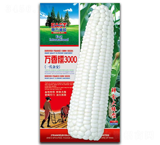 �f��Ŵ3000-Ŵ���׷N��-�����_(d��)