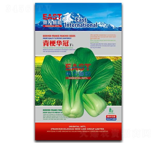 �๣�A��-�Ͳ˷N��-�����_