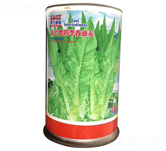 法蘭德四季香油麥（罐裝）-油麥菜種子-祥瑞達(dá)