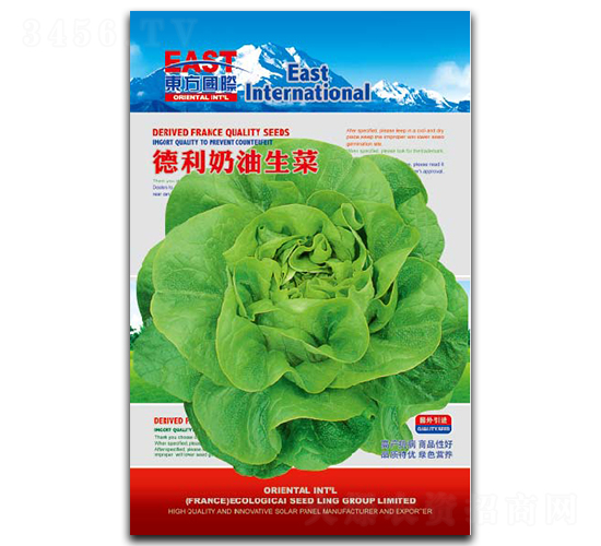 德利奶油生菜-生菜種子-祥瑞達