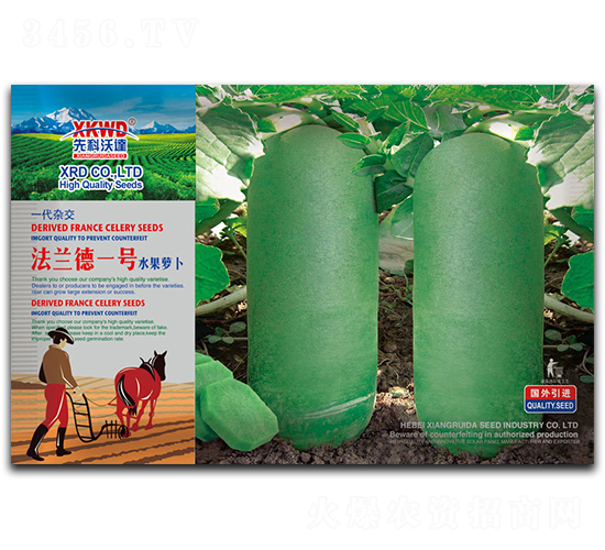 ���m��һ̖-�}���N��-�����_