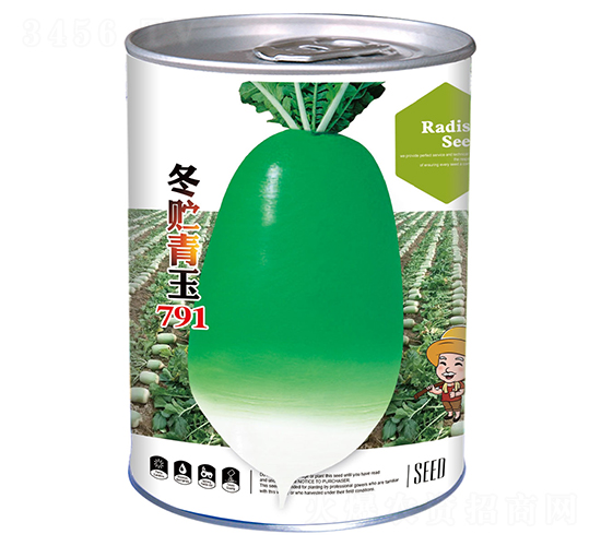 冬貯青玉791-蘿卜種子-祥瑞達(dá)