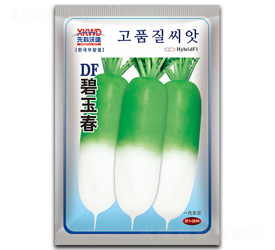 DF���񴺣�����-�}���N��-�����_(d��)