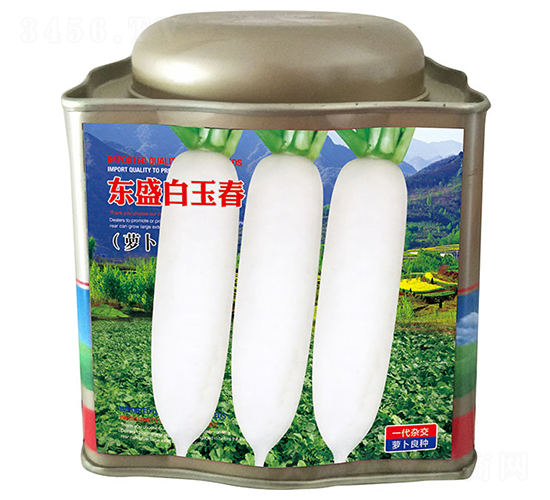 東盛白玉春（罐）-白蘿卜種子-祥瑞達