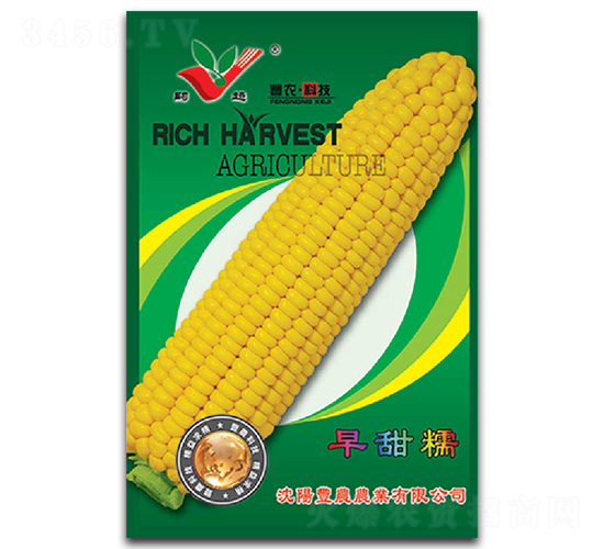 ����Ŵ-Ŵ���׷N��-�S�r�r�I