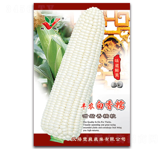 �S�r����Ŵ-Ŵ���׷N��-�S�r�r�I