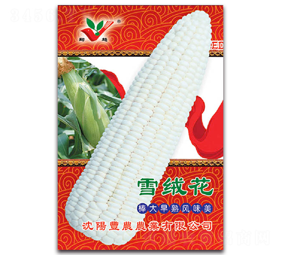 ѩ�q��-Ŵ���׷N��-�S�r�r�I