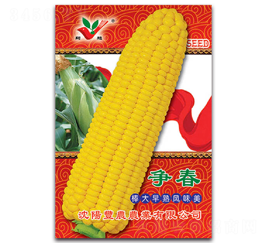 ����-Ŵ���׷N��-�S�r�r�I