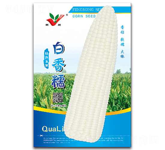 白香糯-糯玉米種子-豐農農業