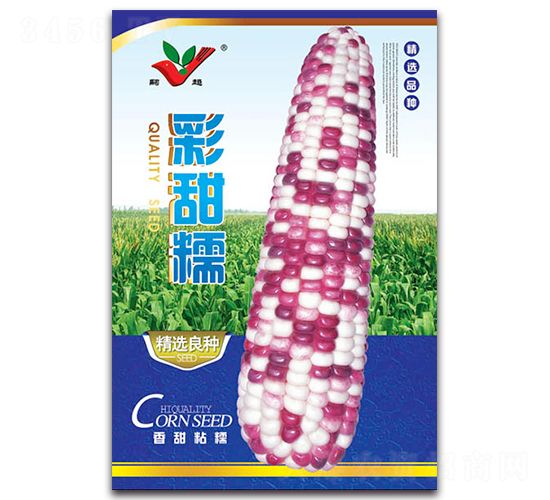 ����Ŵ-Ŵ���׷N��-�S�r�r�I