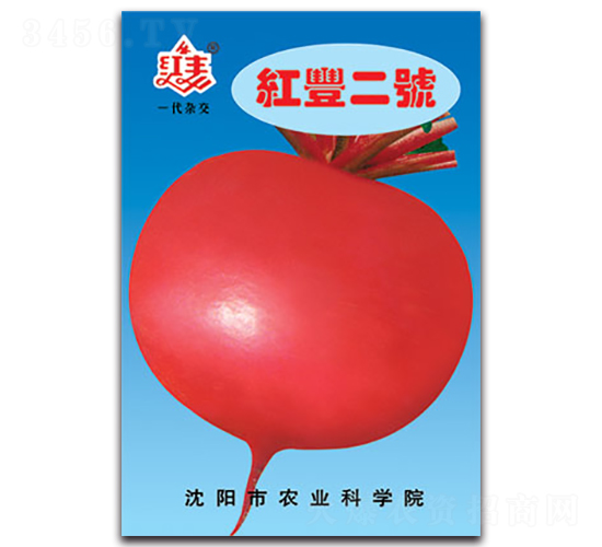 �t�S��̖(h��o)-�}���N��-�S�r(n��ng)�r(n��ng)�I(y��)