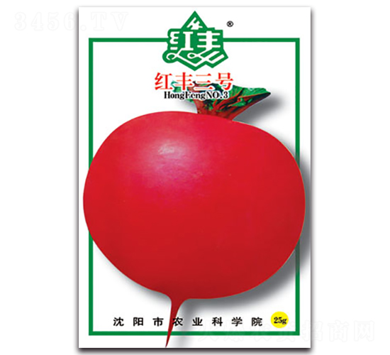 �t�S��̖-�}���N��-�S�r�r�I