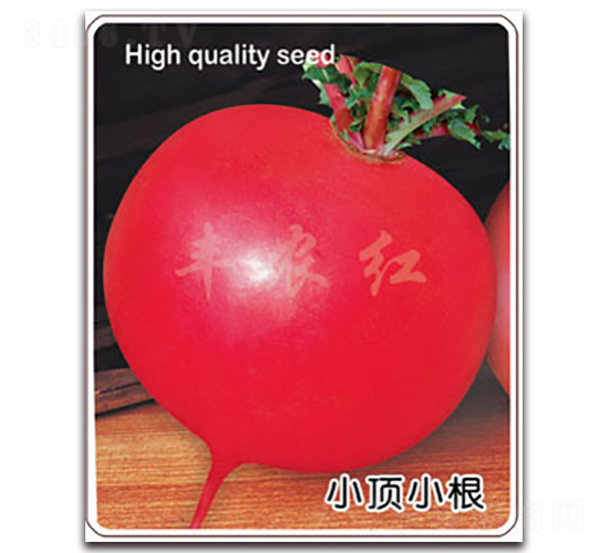 �S�r�t-�}���N��-�S�r�r�I