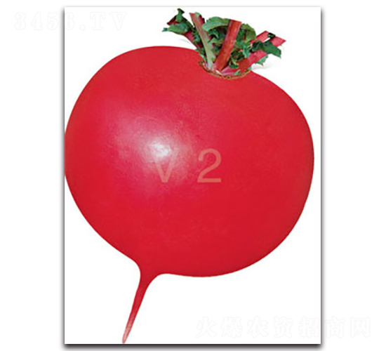 �S�r�tv2-�}���N��-�S�r�r�I