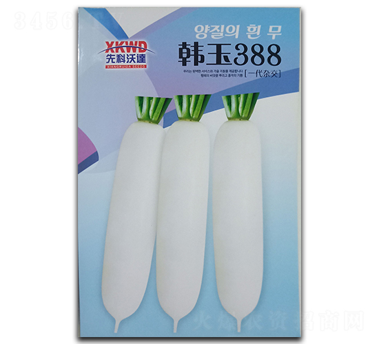 �n��388-���}���N��-�����_