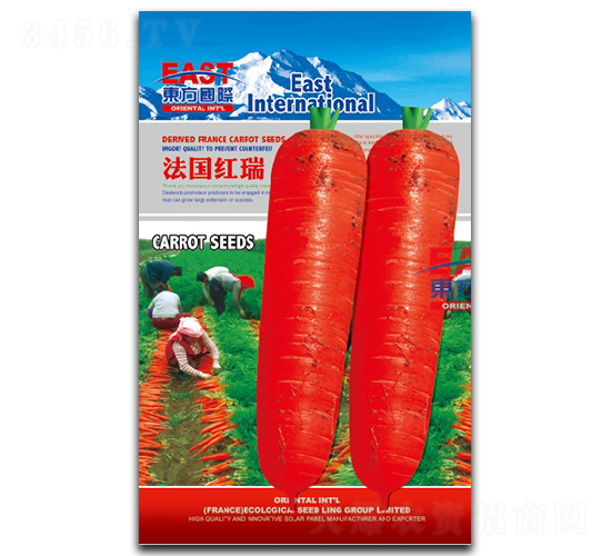 �����t��-���}���N��-�����_(d��)