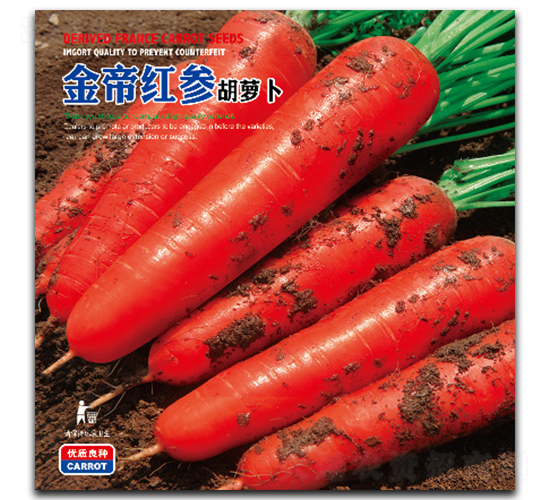 ��ۼt��-���}���N��-�����_(d��)