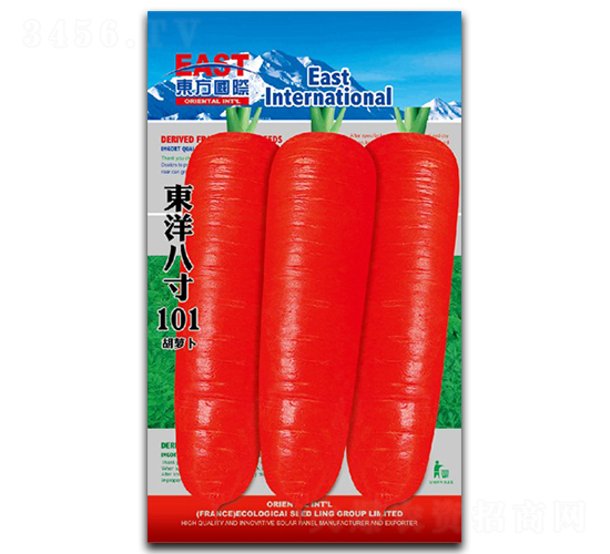 �|��˴�101-���}���N��-�����_