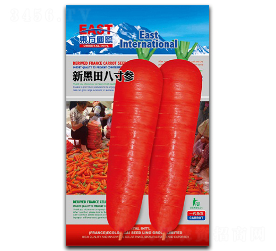 �º���˴煢-���}���N��-�����_(d��)