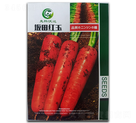 ����t��-���}���N��-�����_