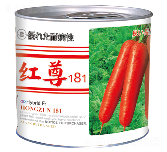 �t��181���ޣ�-���}���N��-�����_