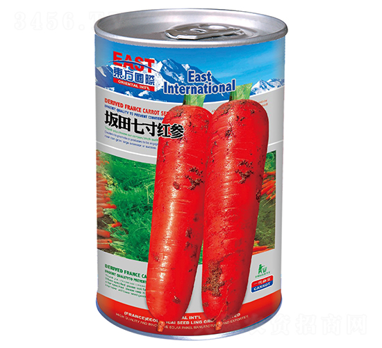 �����ߴ�t�����ޣ�-���}���N��-�����_