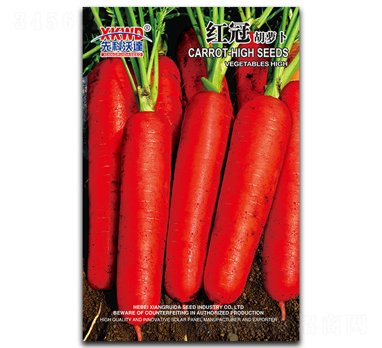 �t��-���}���N��-�����_