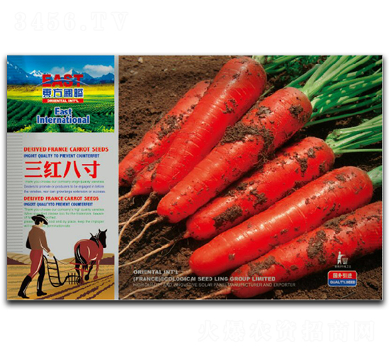 三紅八寸-胡蘿卜種子-祥瑞達