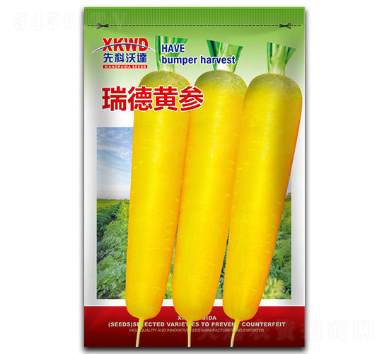 瑞德黃參-胡蘿卜種子-祥瑞達(dá)