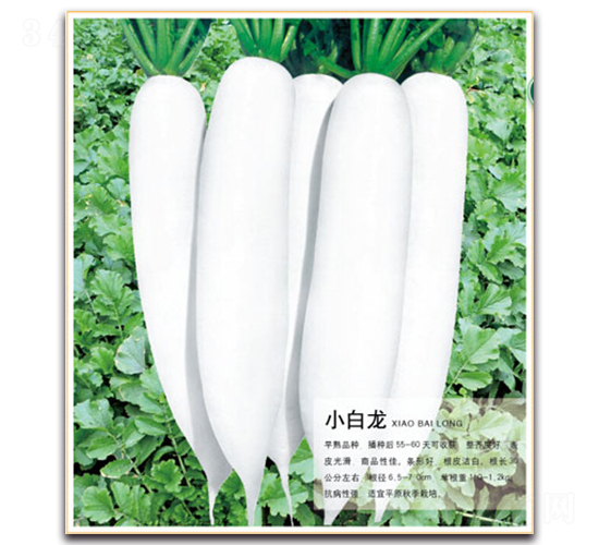 С����-�}���N��-�����r