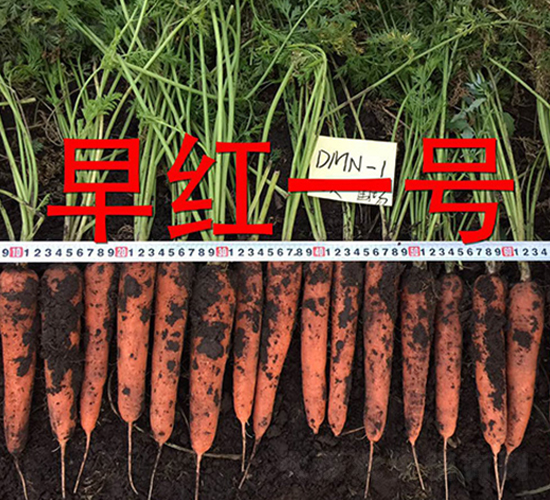 ��tһ̖-�}���N��-�����r